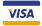 Visa payment icon